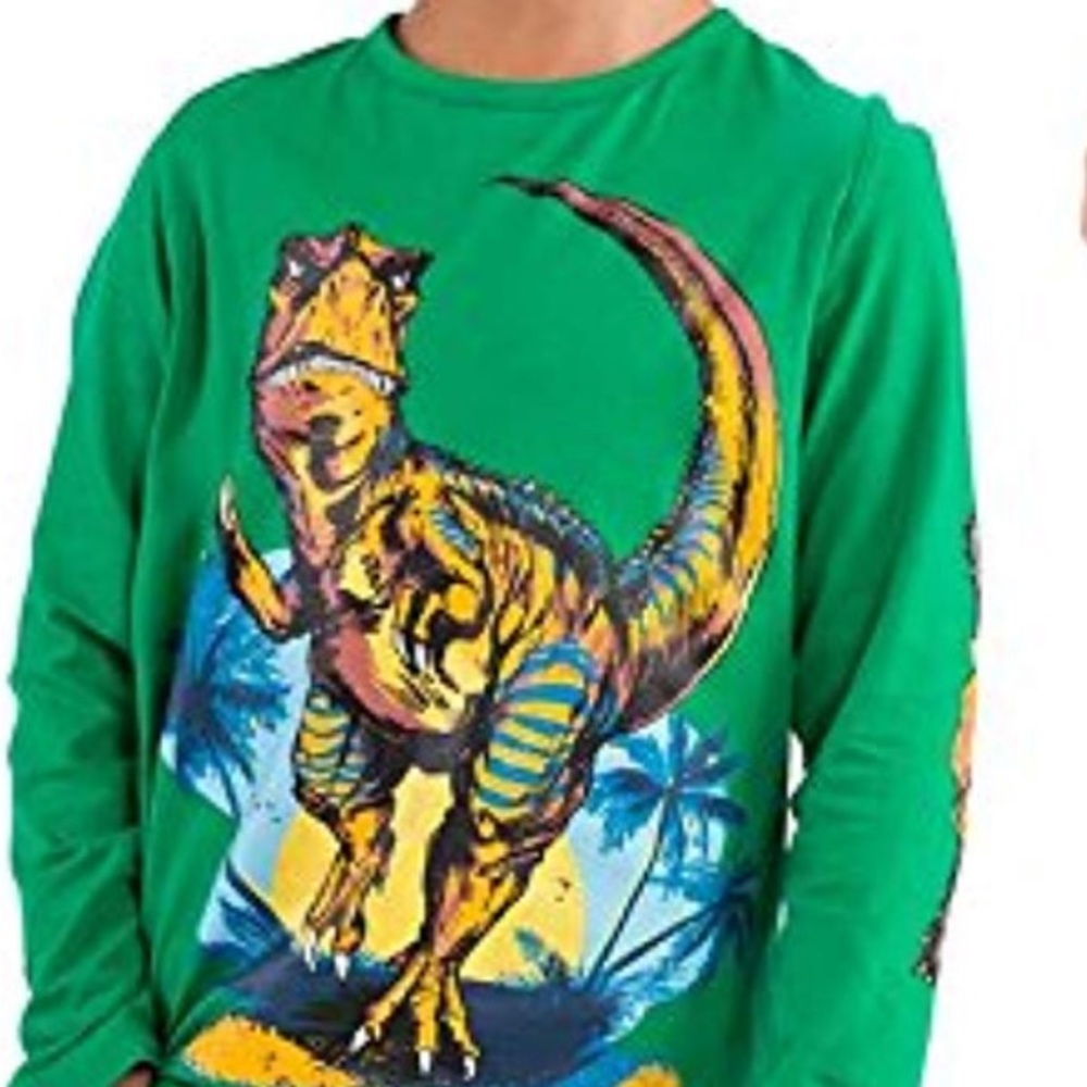Hearth Song Dinosaur Tee.